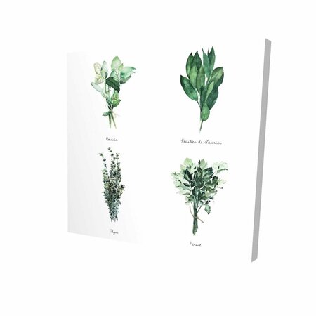 FONDO 32 x 32 in. Fines Herbes-Print on Canvas FO3332032
